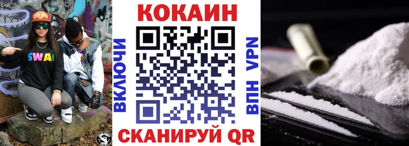 Cocaine FishScale  Купить закладки  Всеволожск 