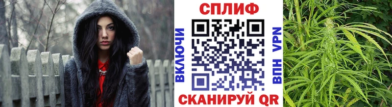 Каннабис семена  Купить где  Всеволожск 
